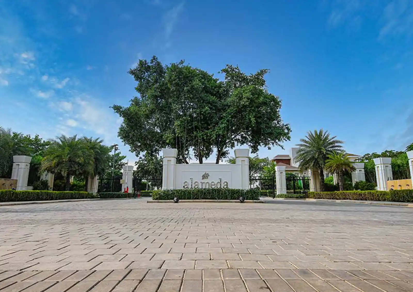 dlf-alameda-floors